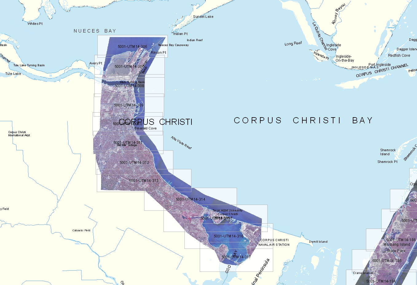 Corpus Christi Elevation Map