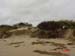 Beach and dunes between Galveston County litter barrels 22-36