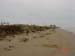Beach just to the east of Galveston County litter barrels 43