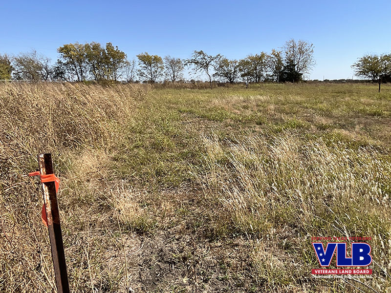 This tract of land is available in Fannin County during the Veterans-Only Land Sale