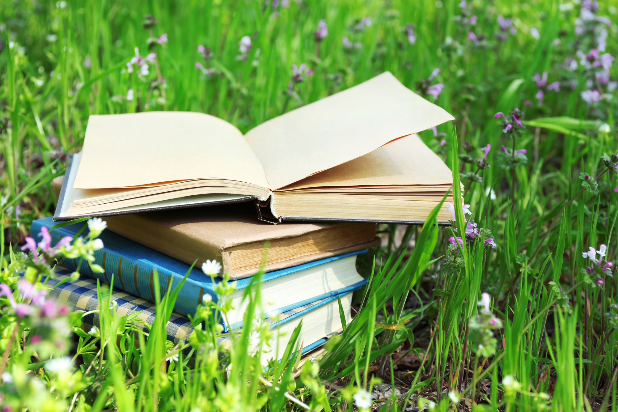 stack of books in grass