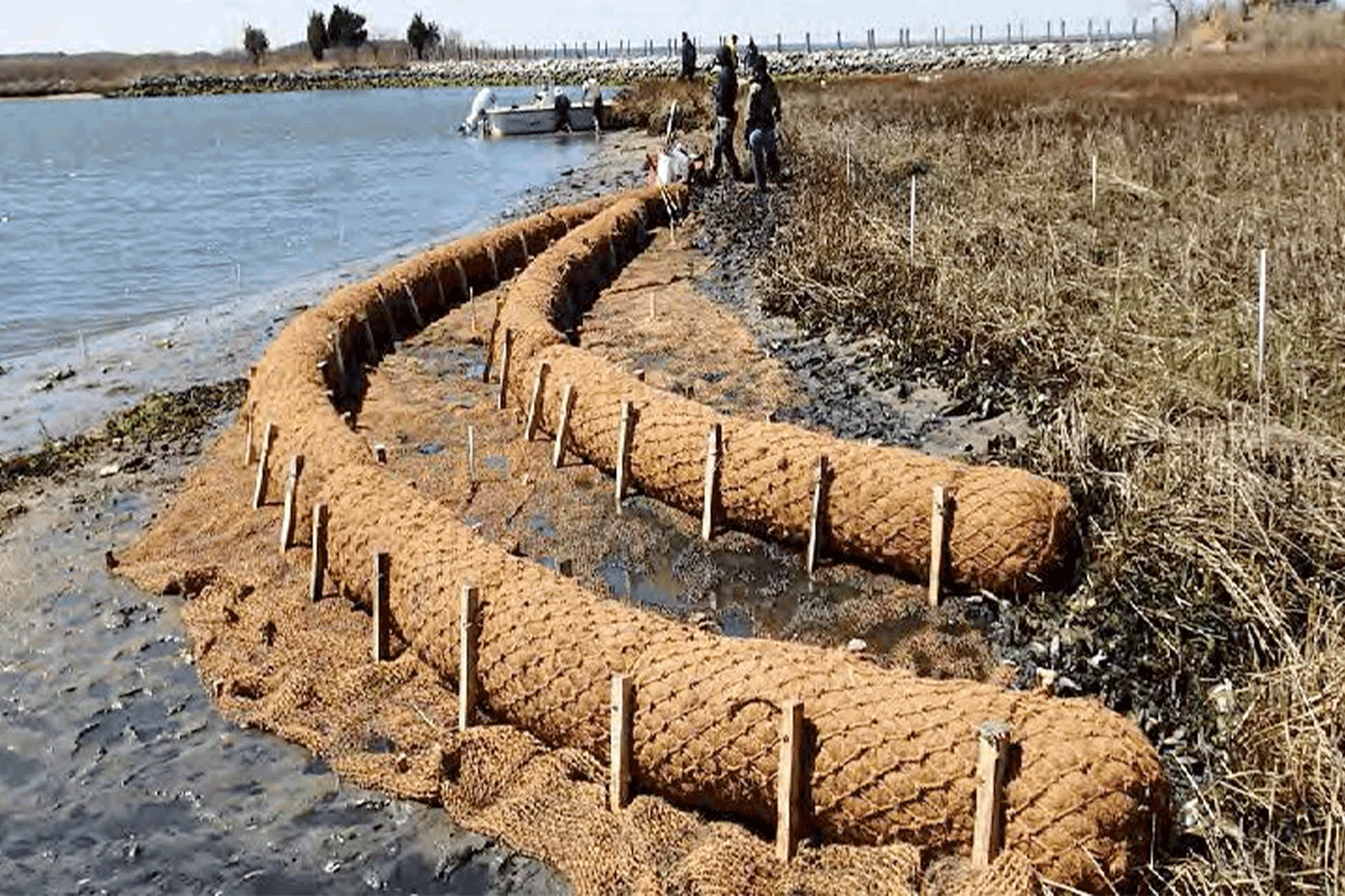 coir log installation