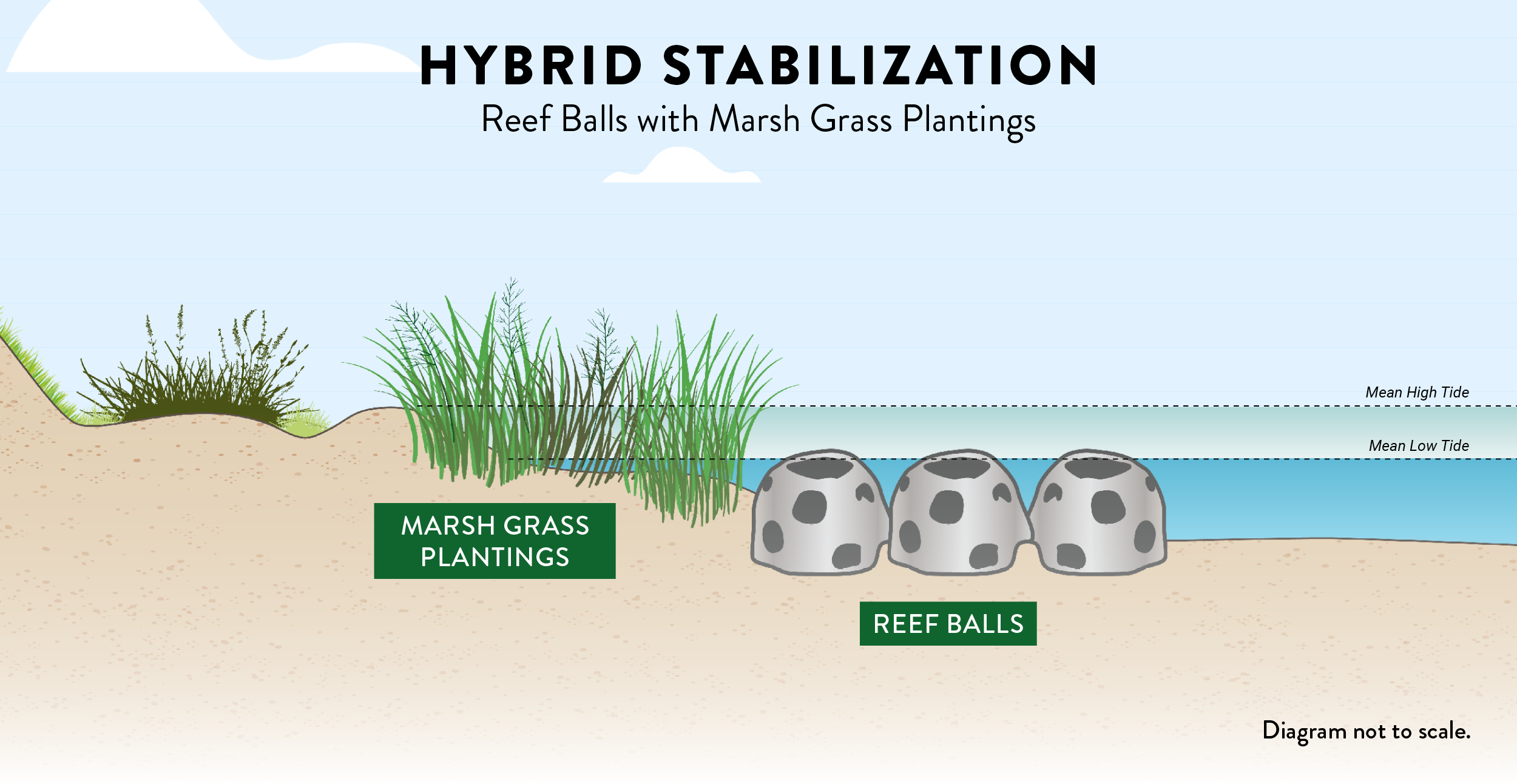 hybrid stabilization with reef balls diagram