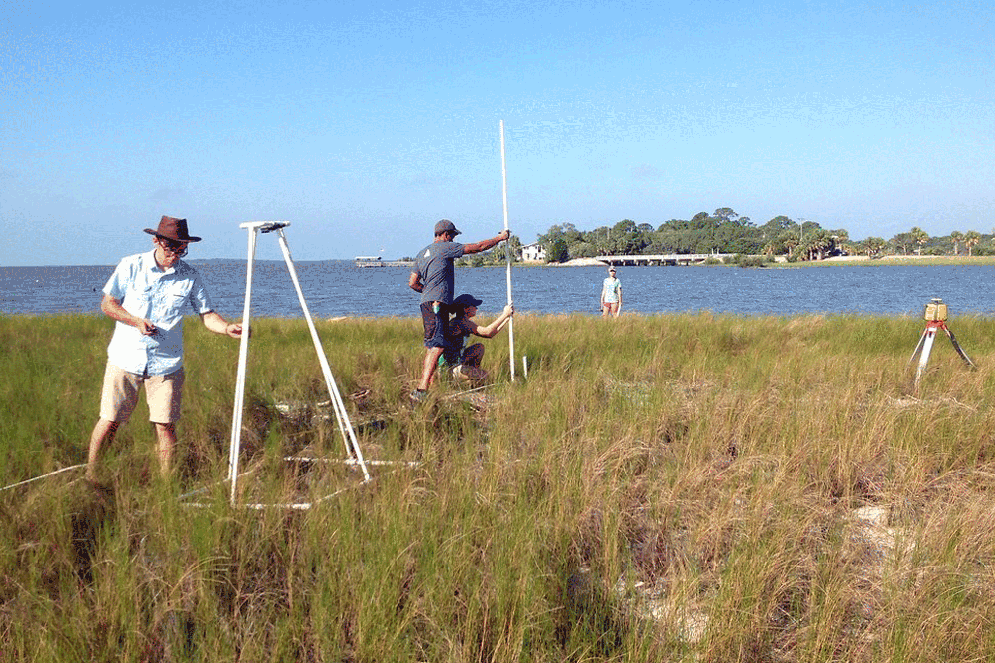 people inspecting vegetation on shoreline