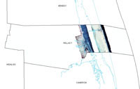 willacy-t