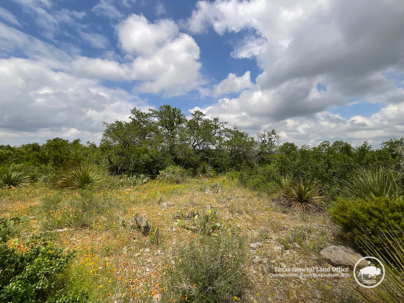 Land Sale PR