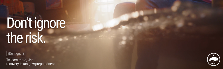 Don't Ignore the Risk: Disaster Preparedness