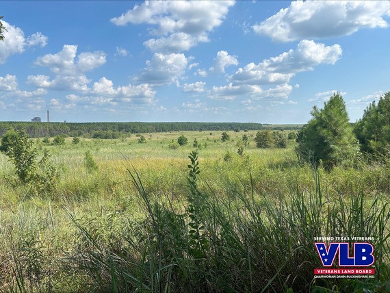 Land that was offered as a donation to build the East Texas State Veterans Cemetery