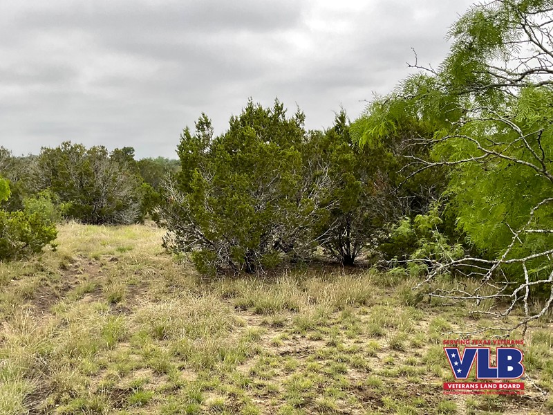 Hamilton County Veterans Only Land Sale