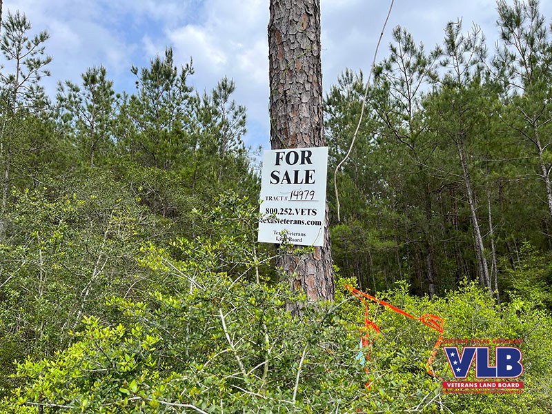 Hardin County Veterans Only Land Sale
