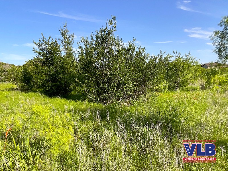 Palo Pinto County Veterans Only Land Sale