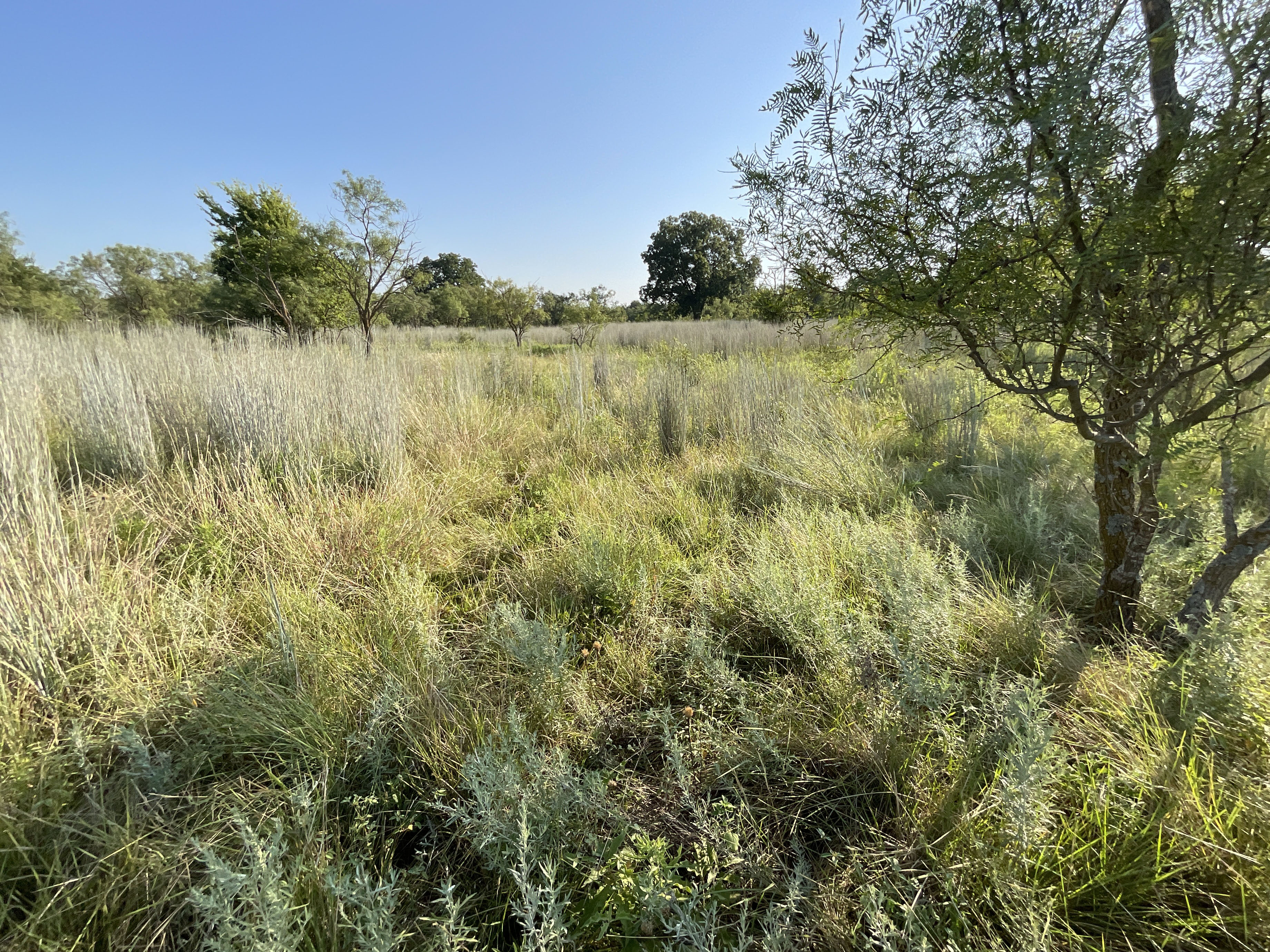 This tract of land is available in Comanche County, Texas