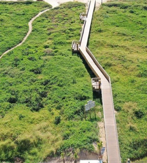 Aerial view of beach access point through dunes