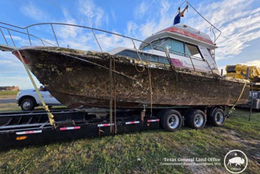 Vessel Removal