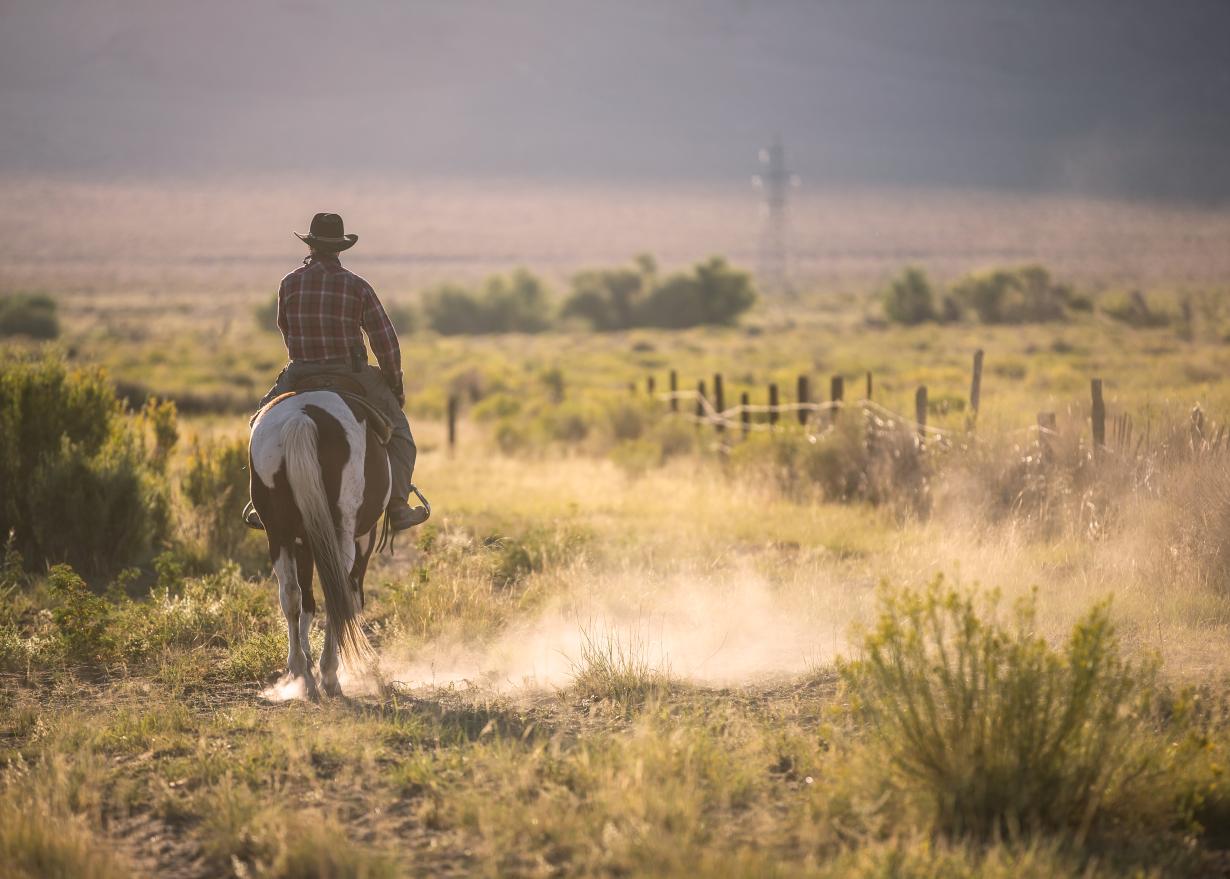 Man wearing a cowboy hat riding a horse on dirt in Texas prairie.
