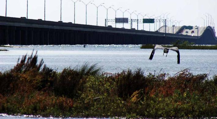 Image of a bridge over water
