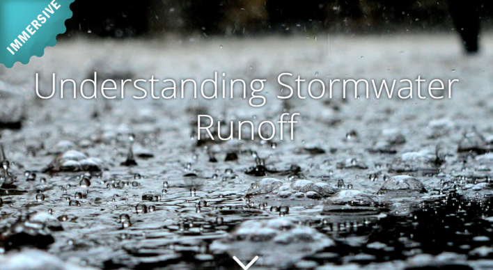Rain Water