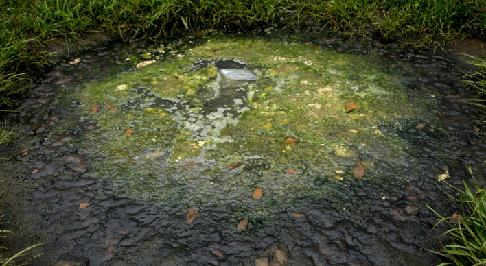 Septic Failure