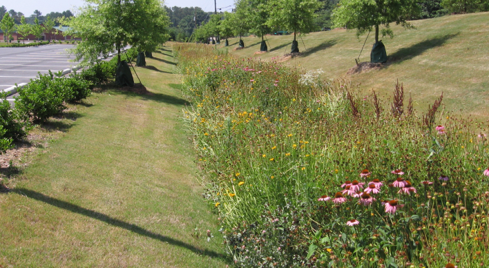 Stormwater Drainage